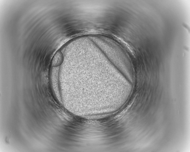 X0000093211170200710241151