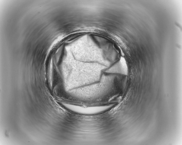 X0000093211172200710241151
