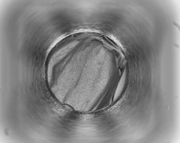 X0000093211173200710241151