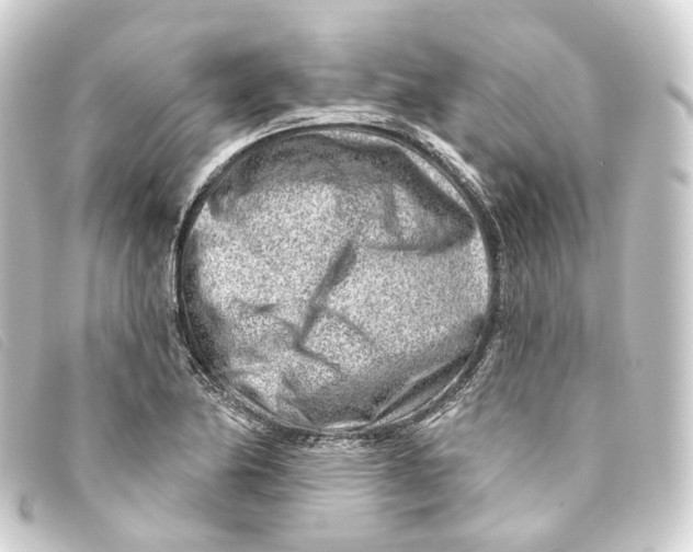 X0000093211174200710241151
