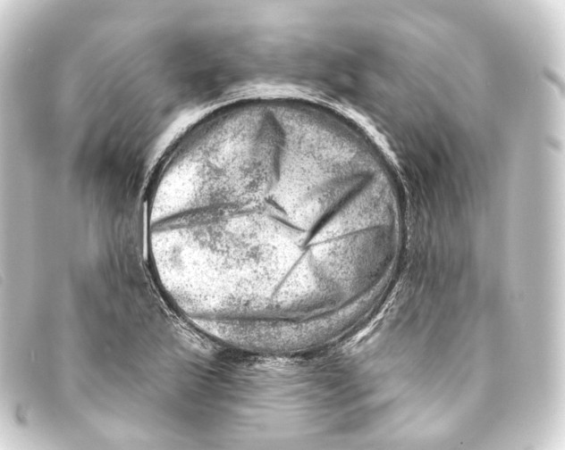 X0000093211175200710241151