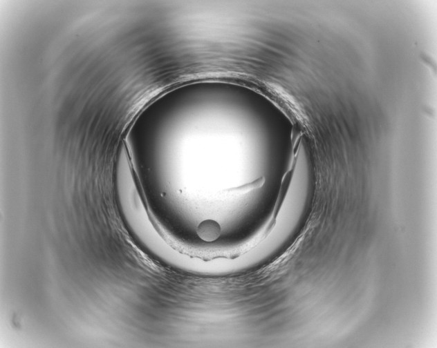 X0000093211177200710241151