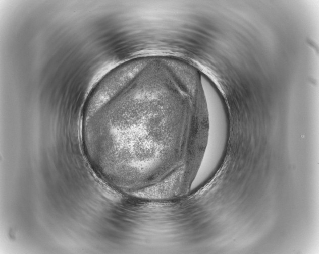 X0000093211179200710241151