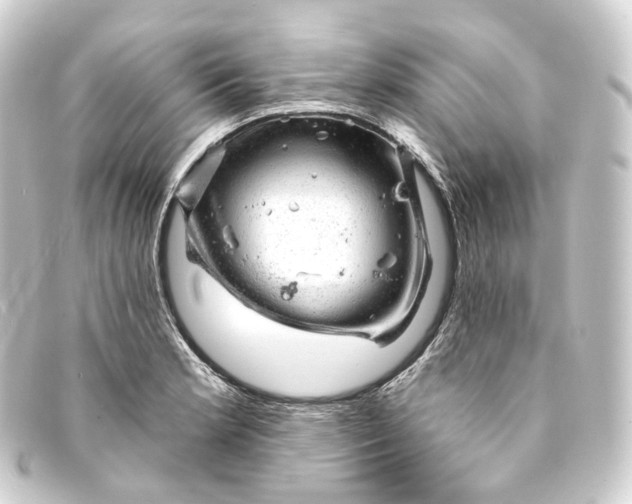 X0000093211181200710241151