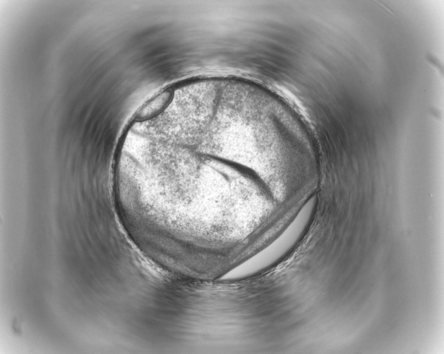 X0000093211183200710241151