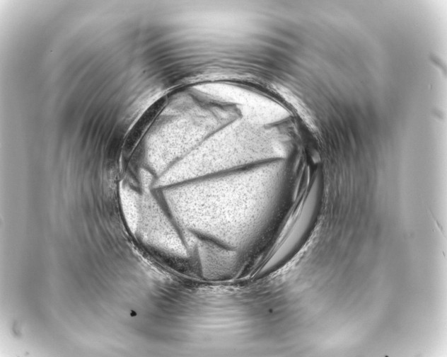X0000093211185200710241151