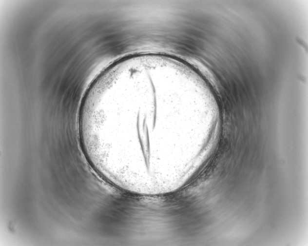 X0000093211191200710241151