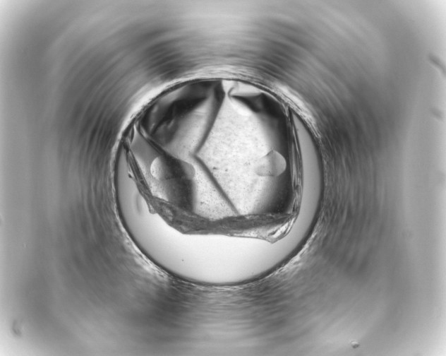 X0000093211192200710241151