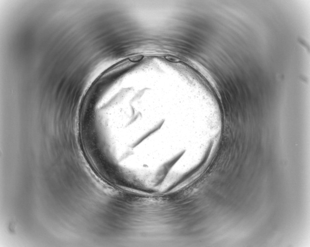 X0000093211195200710241151