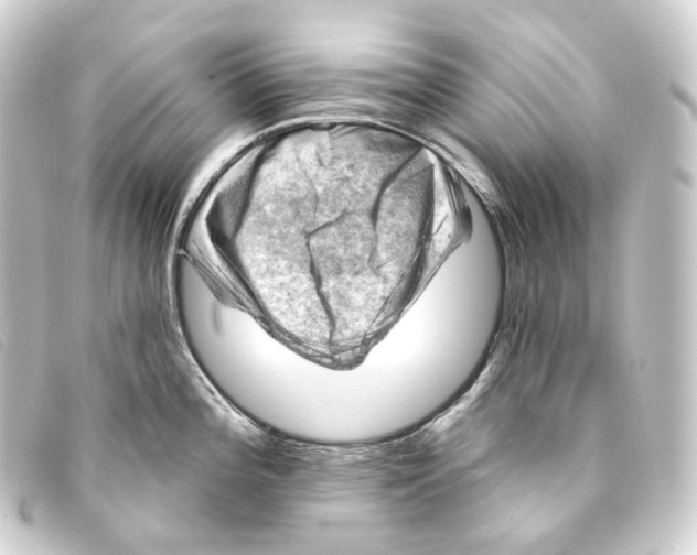 X0000093211196200710241151