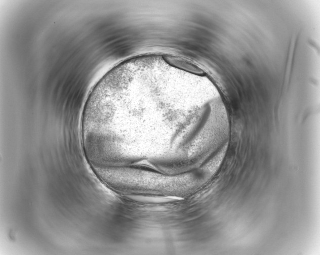 X0000093211199200710241151