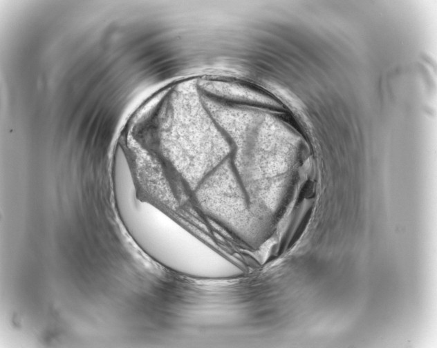 X0000093211200200710241151