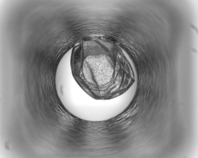 X0000093211202200710241150