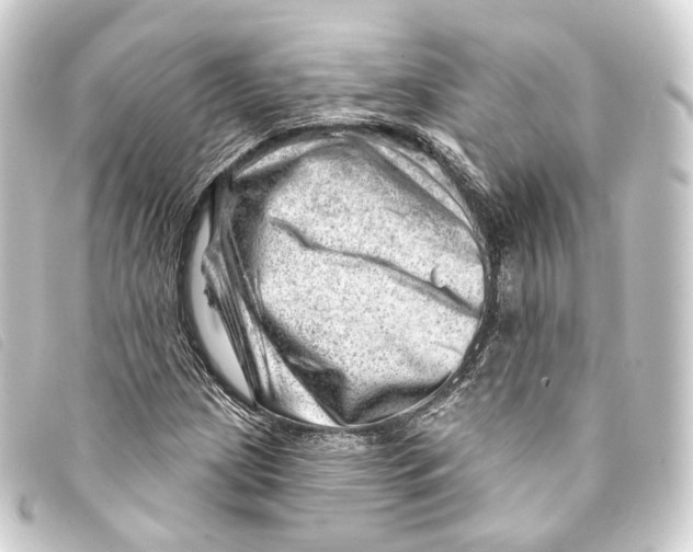 X0000093211209200710241150