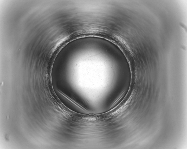 X0000093211210200710241150