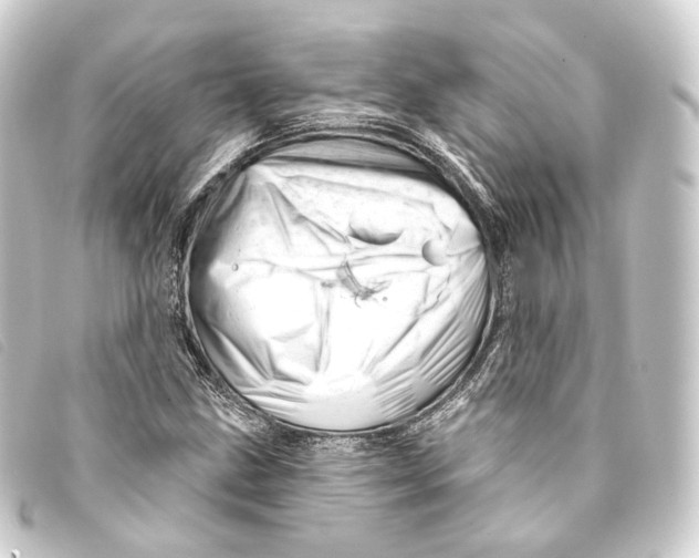 X0000093211211200710241150