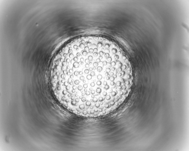 X0000093211212200710241150