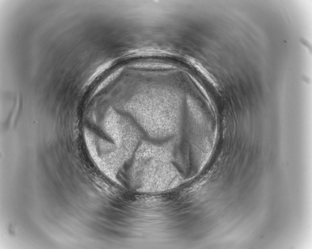 X0000093211213200710241150