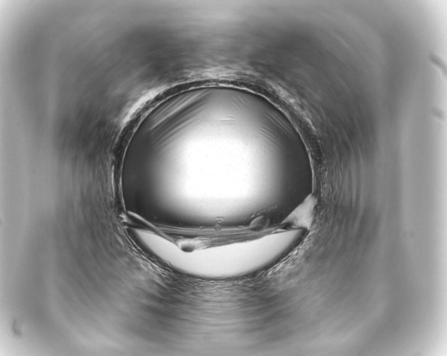 X0000093211214200710241150