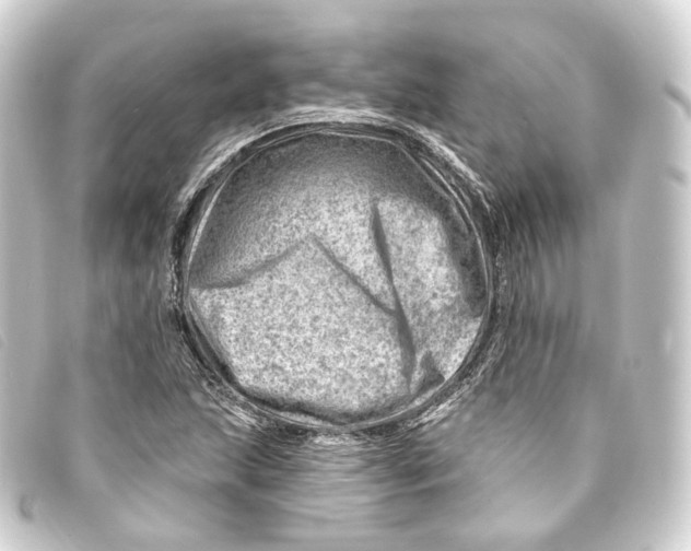 X0000093211215200710241150