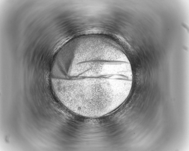 X0000093211217200710241150