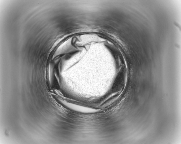 X0000093211220200710241150