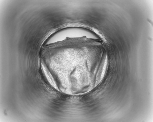 X0000093211221200710241150