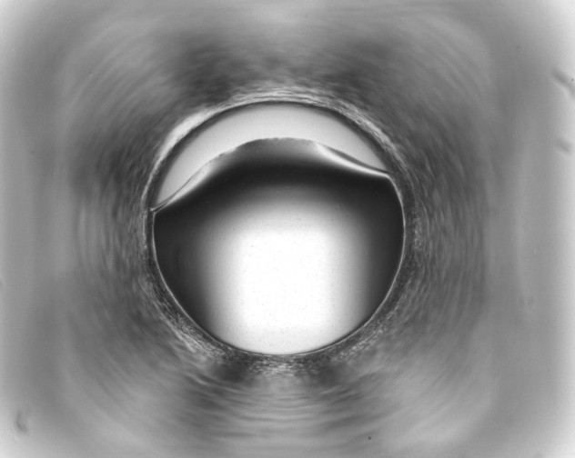 X0000093211222200710241151