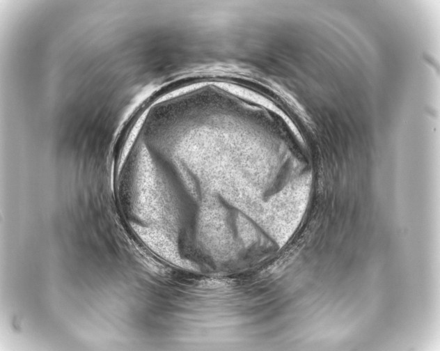 X0000093211224200710241151