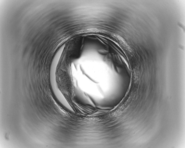 X0000093211225200710241151