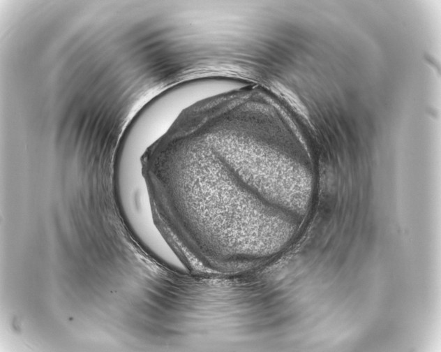 X0000093211226200710241151