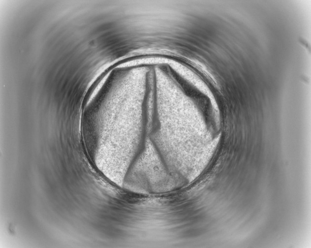 X0000093211228200710241151