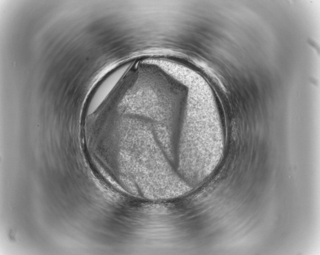X0000093211229200710241151