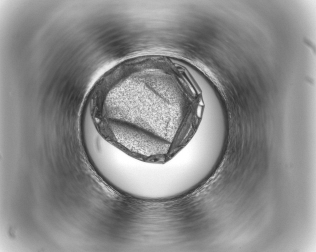 X0000093211230200710241151