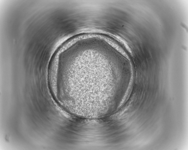 X0000093211231200710241151