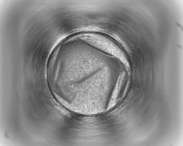 X0000093211232200710241151