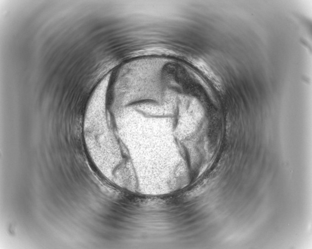 X0000093211233200710241151