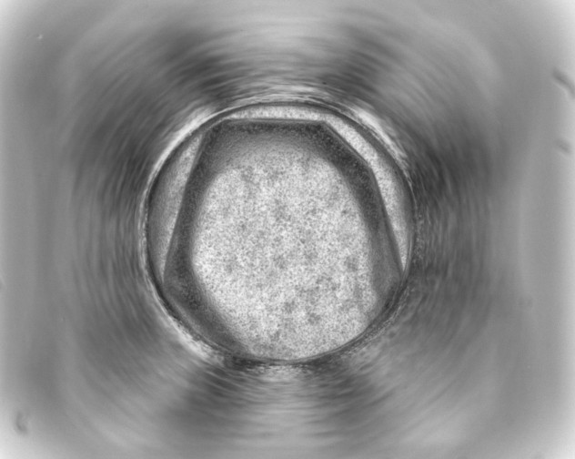 X0000093211235200710241151