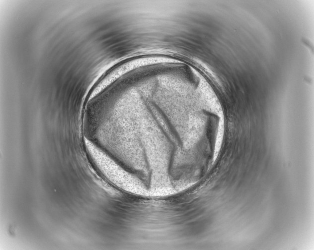 X0000093211236200710241151