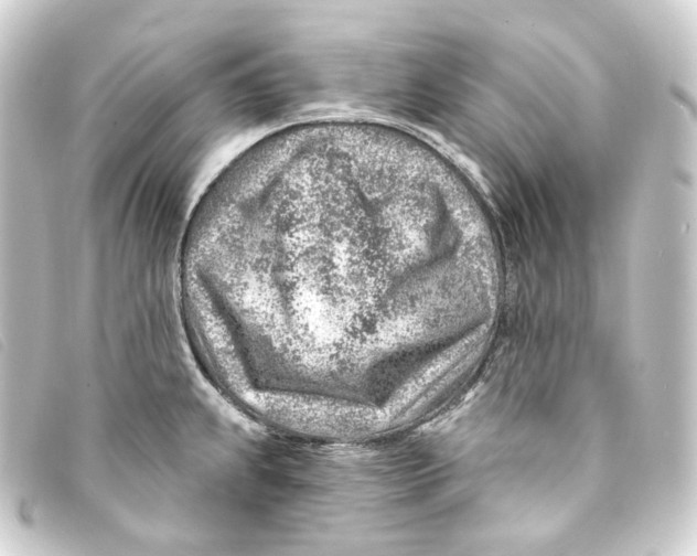 X0000093211239200710241151