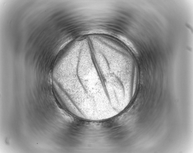 X0000093211241200710241151