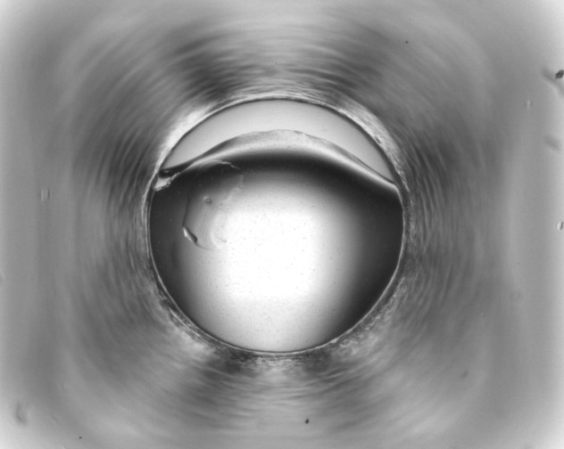 X0000093211242200710241151