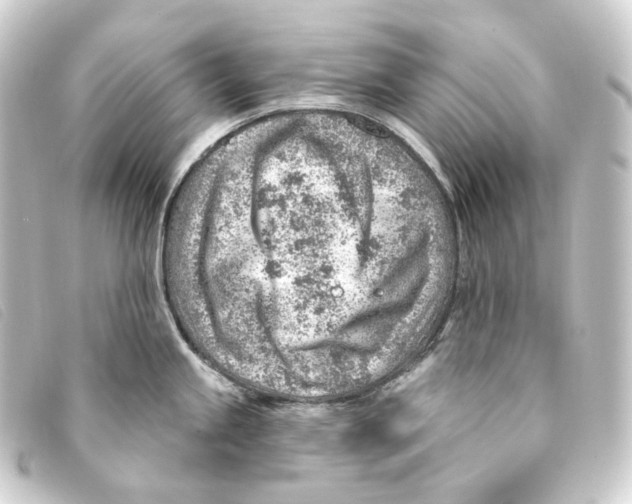 X0000093211245200710241151