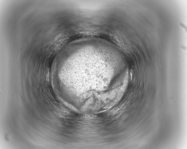 X0000093211251200710241150