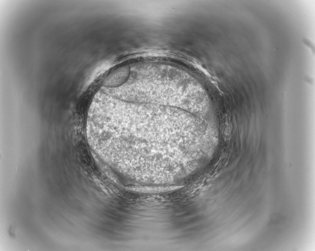 X0000093211255200710241150