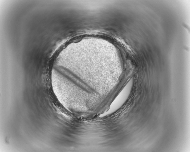 X0000093211256200710241150