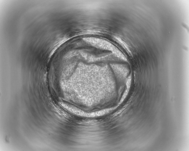 X0000093211260200710241150