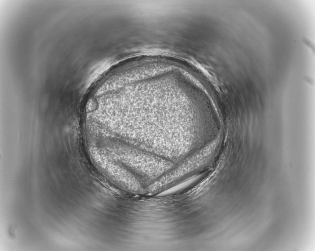 X0000093211263200710241150