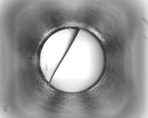 X0000093211264200710241150