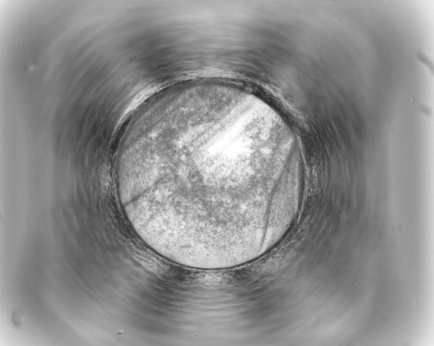 X0000093211266200710241150